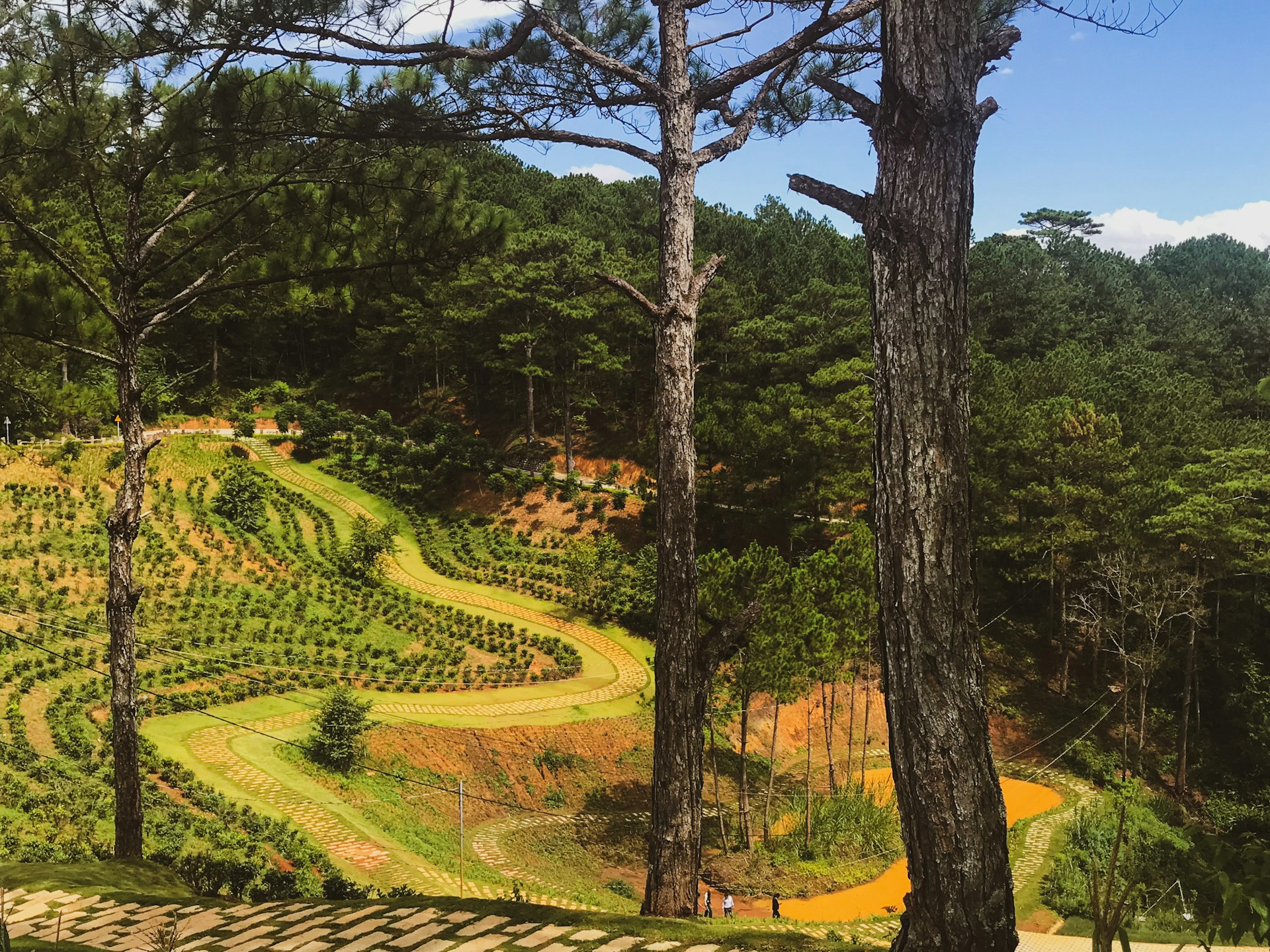 a scenic view of a winding road in the woods