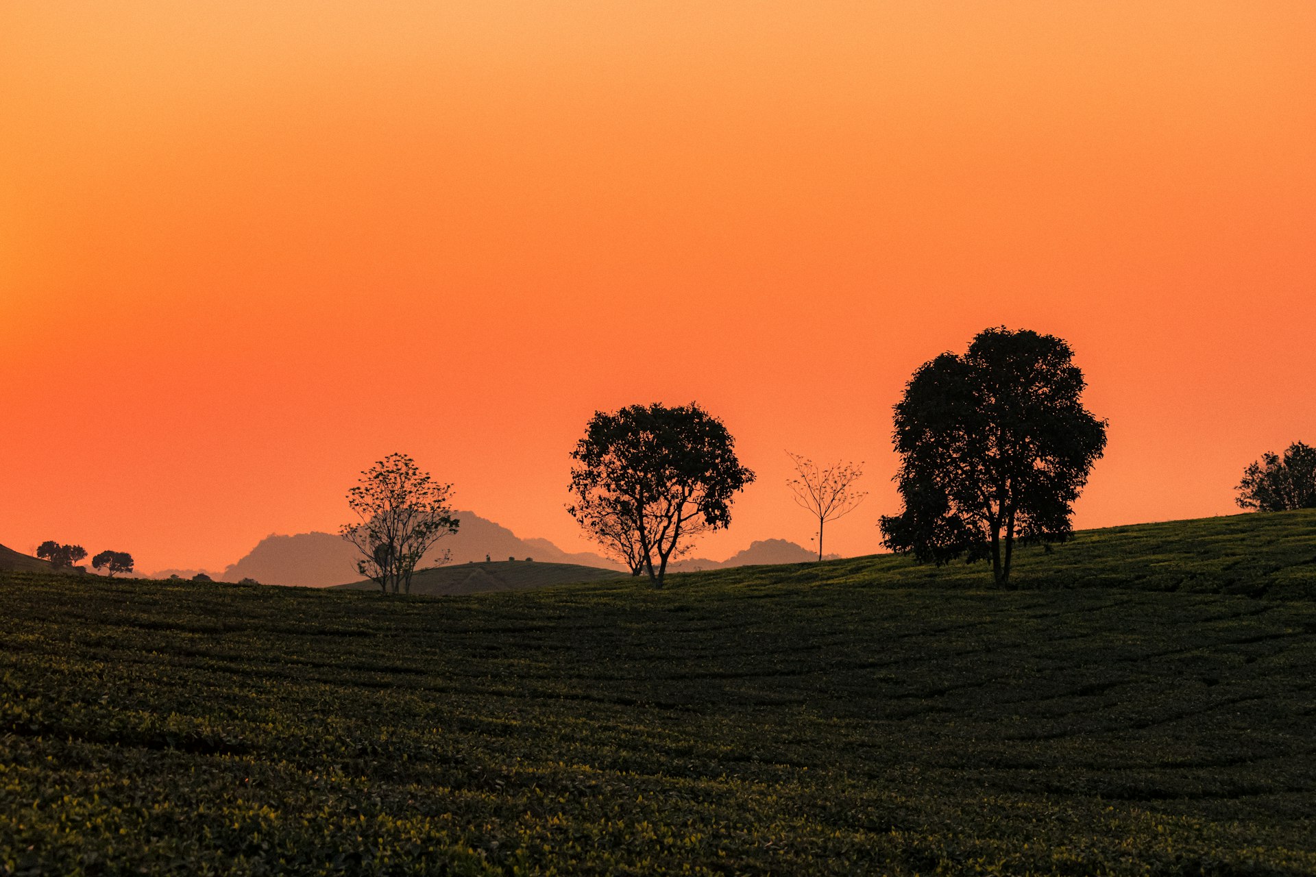 the sun is setting over a grassy hill